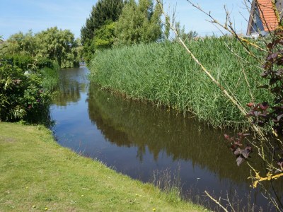 Holiday house Buitenplaats 30 - Outdoor photo 13