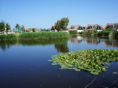 Holiday house Buitenplaats 83 - Outdoor photo 24