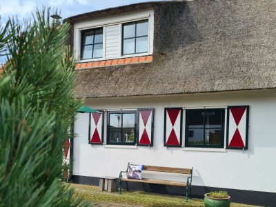 Holiday house Buitenplaats 87 - Outdoor photo 30