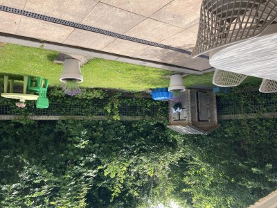 Holiday house De Lavendeltuin - Outdoor photo 25