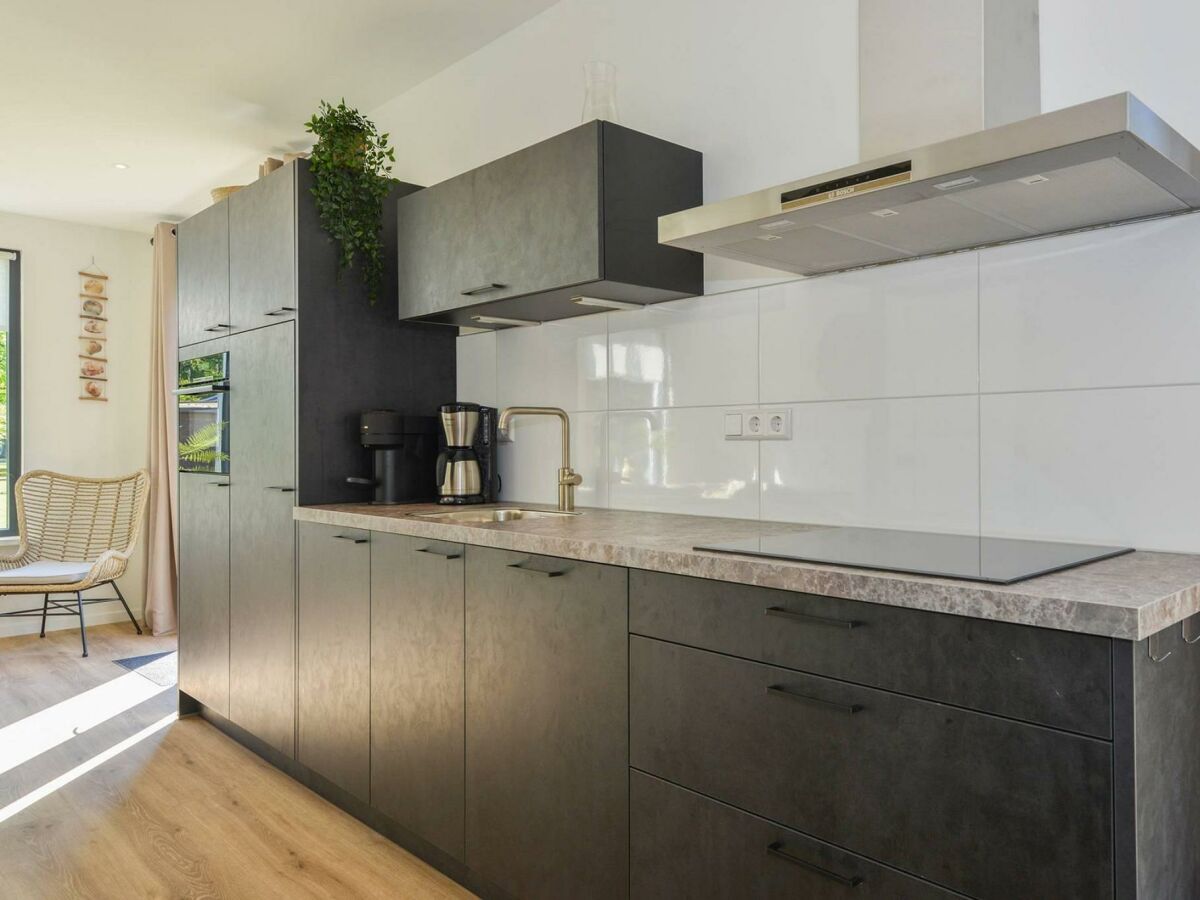 Holiday house Goudvink - Outdoor photo 3