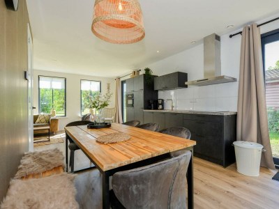 Holiday house Goudvink - Outdoor photo 11