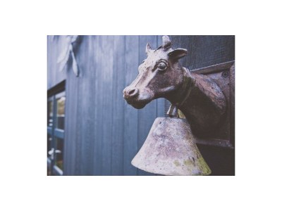 Holiday house Kapberg 'Om de Noord" - Outdoor photo 20