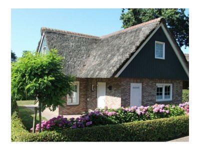 Holiday house Lachmöwe - Outdoor photo 25