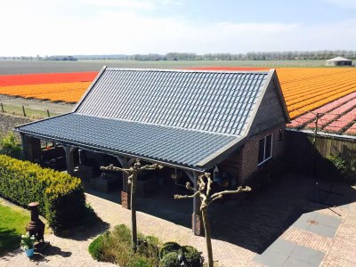 Holiday house Warmhuisje - Outdoor photo 32