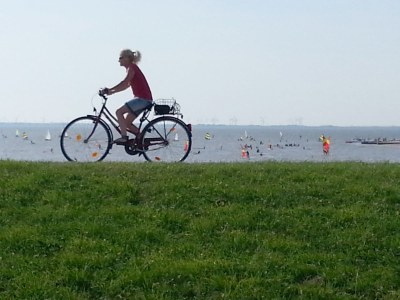 Holiday apartment Huus int Legde "West" - Environment photo 14