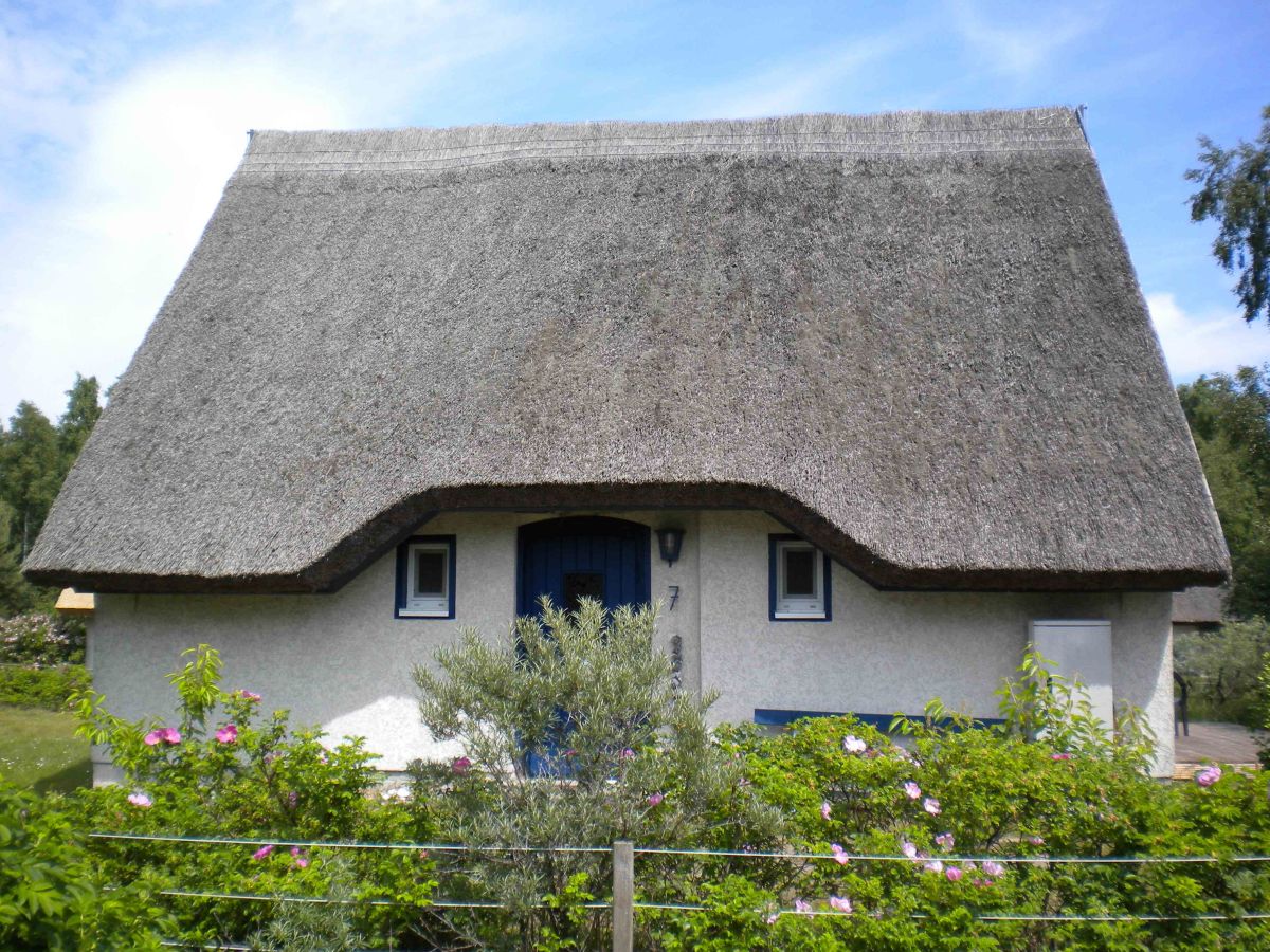 Holiday house Reetdachhaus - Outdoor photo 2