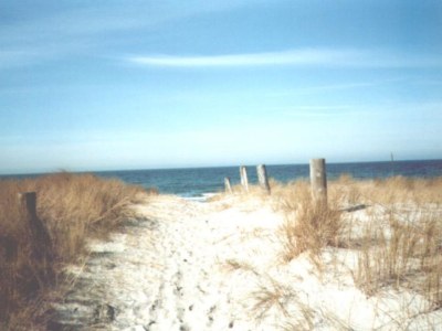 Holiday house Reetdachhaus - Environment photo 9