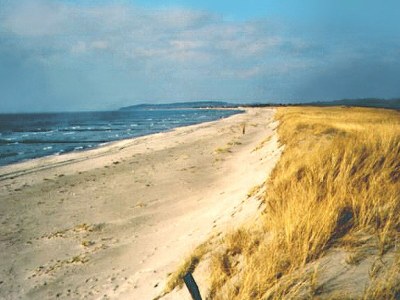 Holiday house Reetdachhaus - Environment photo 10