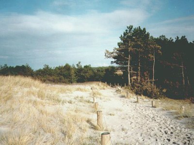 Holiday house Reetdachhaus - Environment photo 11