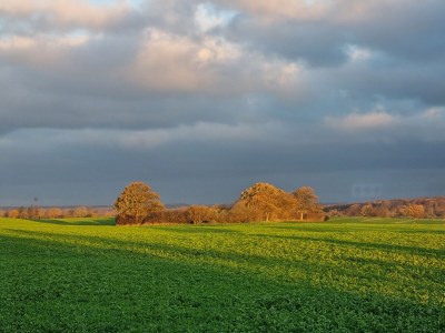 Holiday house Amelie - Outdoor photo 13