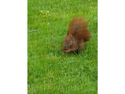 Holiday house Amelie - Outdoor photo 14