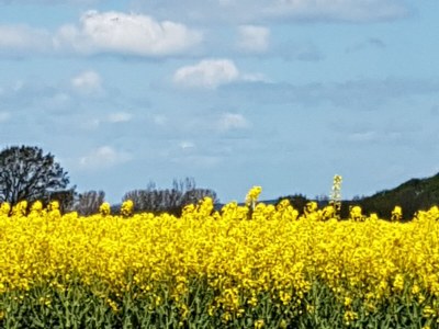 Holiday house Amelie - Environment photo 35