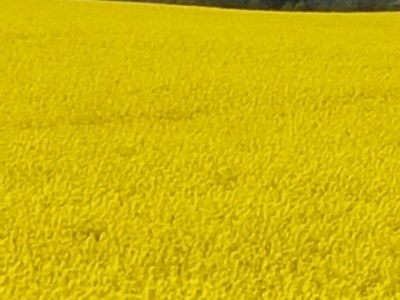 Holiday house Amelie - Environment photo 36