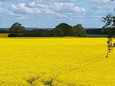 Holiday house Amelie - Environment photo 37