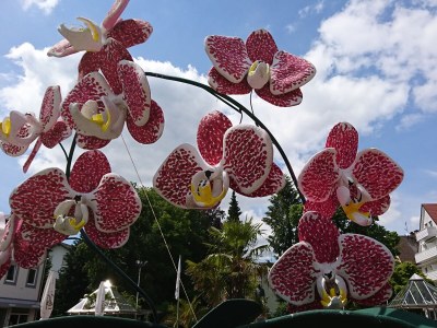 Holiday apartment noble holiday apartment in Bad Woerishofen (center) - Environment photo 24