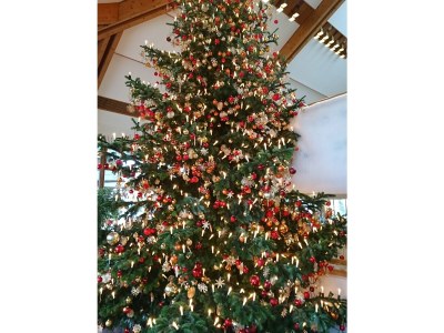 Holiday apartment noble holiday apartment in Bad Woerishofen (center) - Environment photo 25