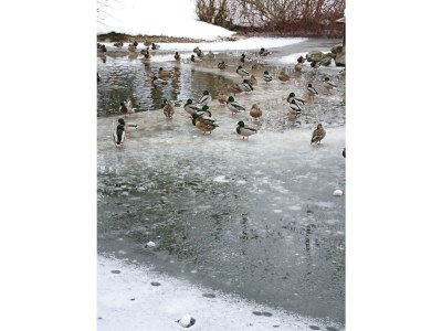 Holiday apartment noble holiday apartment in Bad Woerishofen (center) - Environment photo 26