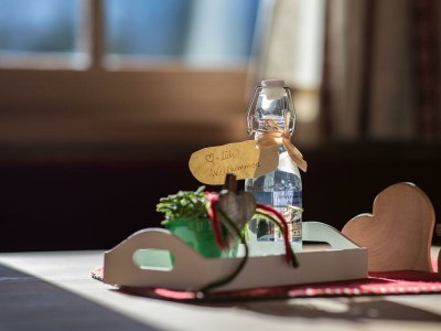 Apartment Chalet Hoamatgfühl - Outdoor photo 13