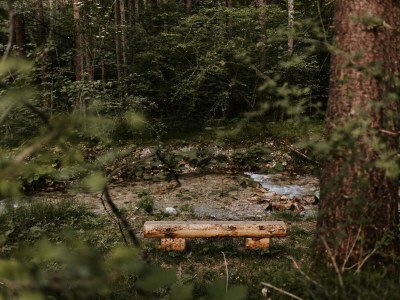 Apartment Chalet Hoamatgfühl - Outdoor photo 32