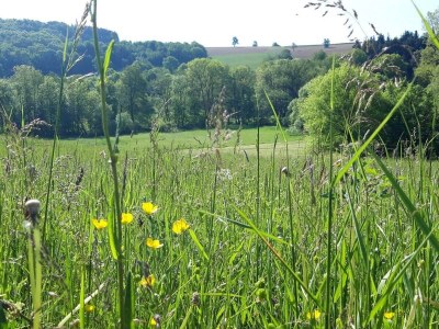 Apartment Ferienhaus, Bad, WC, 3 Schlafräume - Outdoor photo 18
