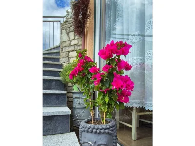 Holiday room Familienzimmer - Outdoor photo 10