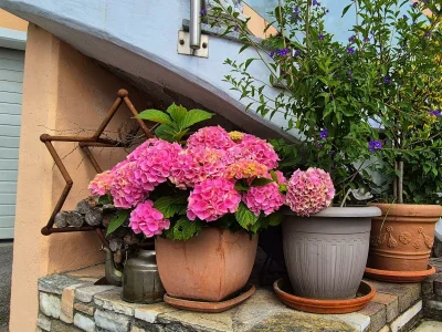 Holiday room Familienzimmer - Outdoor photo 11