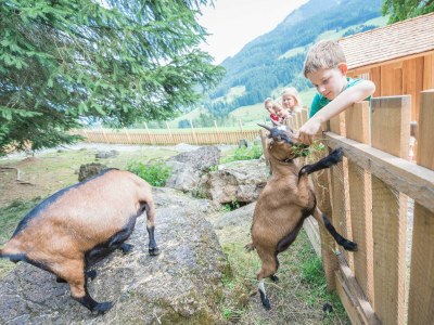 Apartment Appartement/Fewo, Dusche, WC, 2 Schlafräume - Outdoor photo 14