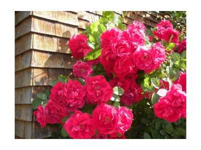 Apartment Appartement 12 - Outdoor photo 9