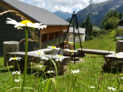 Apartment Appartement Lechtal - Outdoor photo 46