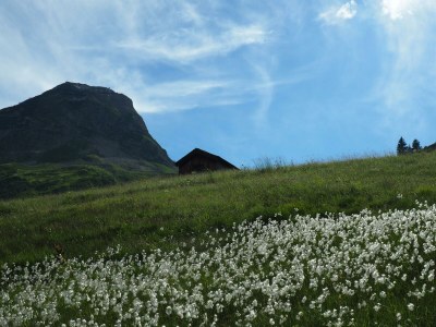 Apartment Appartement Lechtal - Outdoor photo 49