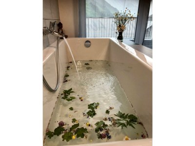 Apartment Villa Alma - Outdoor photo 8