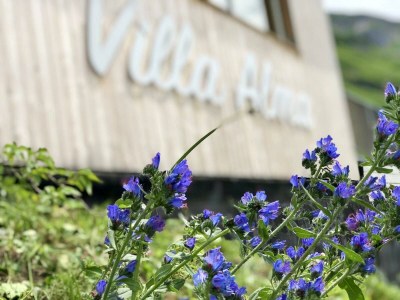 Apartment Villa Alma - Outdoor photo 12