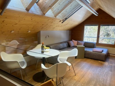 Apartment Villa Schaschl kl. - Features photo 16