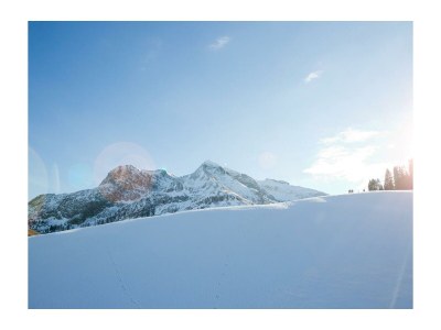 Apartment Appartement Almrausch (4-6 Personen) - Outdoor photo 8