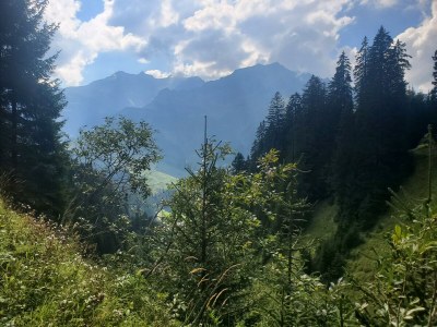 Apartment Berghof Ferienhaus - Outdoor photo 27