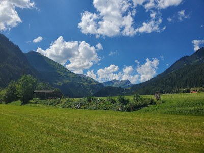 Apartment Berghof Ferienhaus - Outdoor photo 29