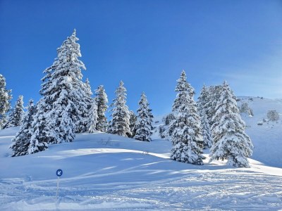 Apartment Berghof Ferienhaus - Outdoor photo 30