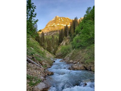 Apartment Berghof Ferienhaus - Outdoor photo 34