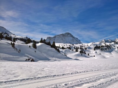 Apartment Berghof Ferienhaus - Outdoor photo 36