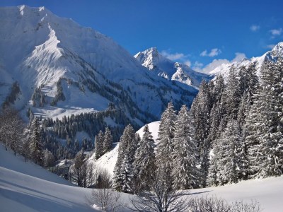 Apartment Appartement Hochberg - Outdoor photo 26