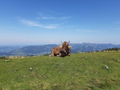 Apartment Appartement Hochberg - Outdoor photo 34