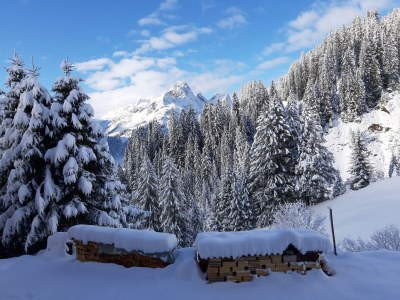 Apartment Appartement Hochberg - Outdoor photo 40