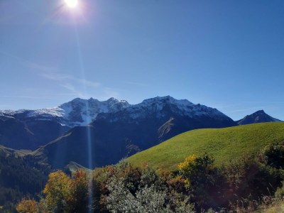 Apartment Appartement Hochberg - Outdoor photo 43