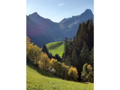 Apartment Appartement Hochberg - Outdoor photo 45