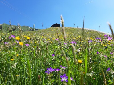 Apartment Appartement Hochberg - Outdoor photo 51