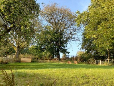 Apartment Ferienhaus in Ruhe & Natur im Wildenburg - Outdoor photo 8