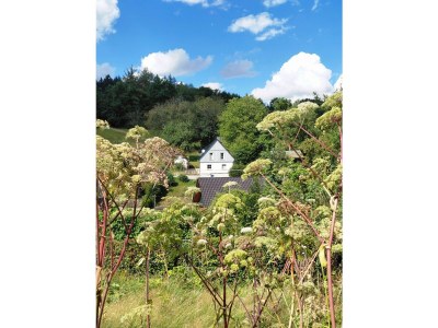 Apartment Ferienhaus in Ruhe & Natur im Wildenburg - Outdoor photo 19