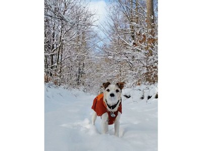 Apartment Ferienhaus in Ruhe & Natur im Wildenburg - Outdoor photo 23