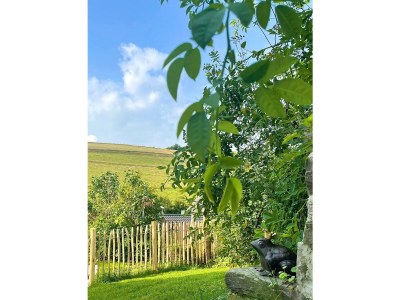 Apartment Ferienhaus in Ruhe & Natur im Wildenburg - Outdoor photo 24